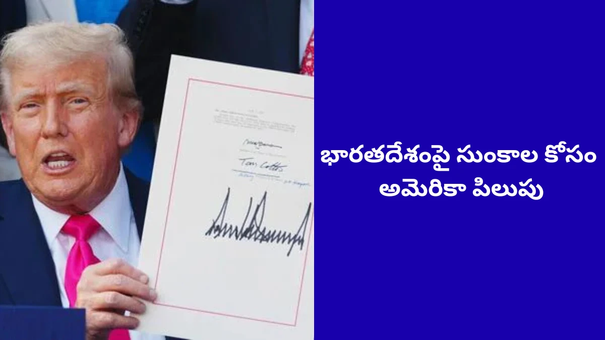 Tariffs on India