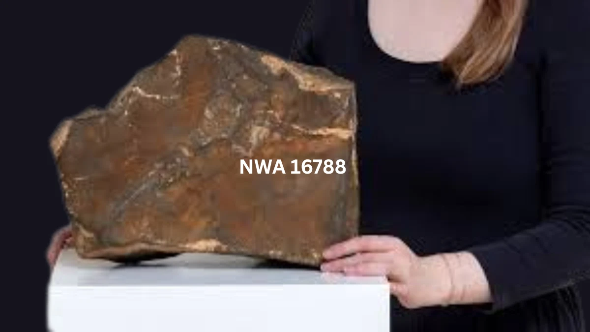 Martian Meteorite NWA 16788