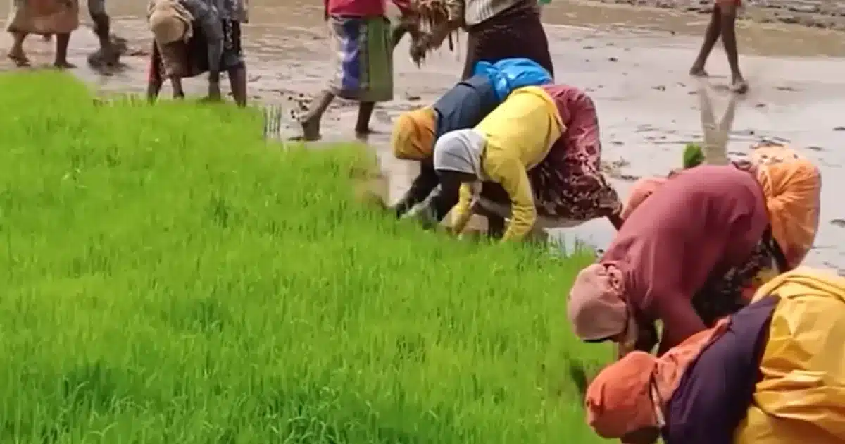 PM Modi visiting AP