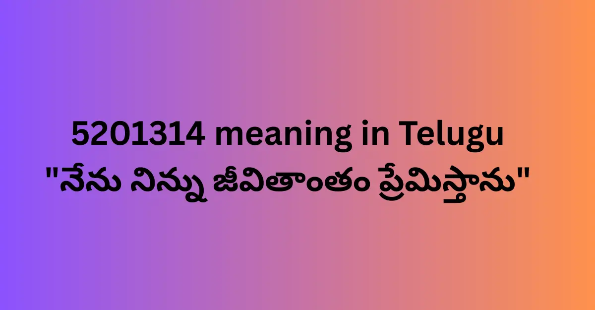 5201314 Meaning in Telugu